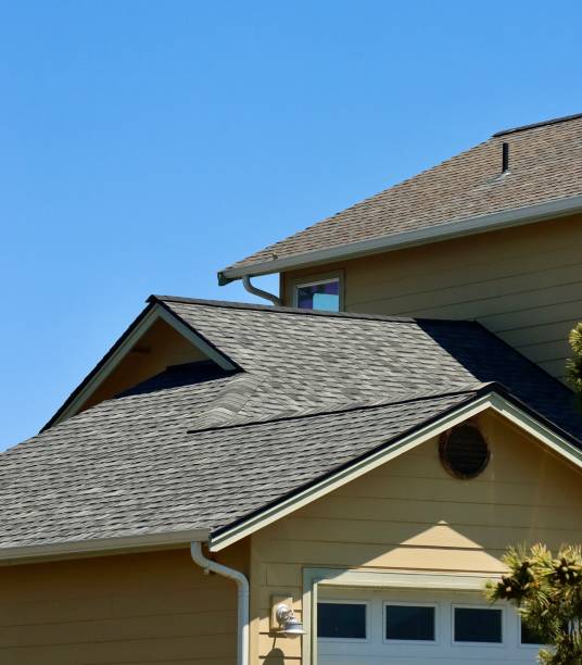 Best Roof Maintenance and Cleaning  in Pelion, SC